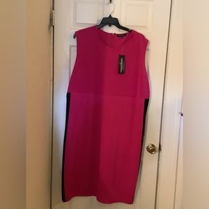 Wendy Williams scuba column dress fuchsia and black 3x